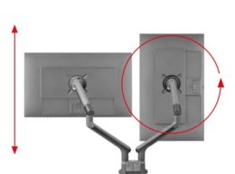 One For All DM7210 Uniwersalny uchwyt do monitora ARM, DESIGN, SMART, DUAL, czarny, 2x 13''-35'' 9kg One For All