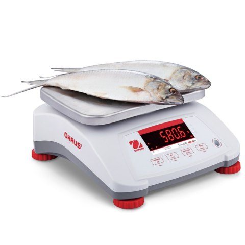 Waga VALOR 4000 z legalizacją kuchenna gastronomiczna wodoodporna IP68 LED 6Kg / 2g - OHAUS V41PWE6T-M Waga VALOR 4000 z legalizacją kuchenna gastronomiczna wodoodporna IP68 LED 6Kg / 2g - OHAUS V41PWE6T-M