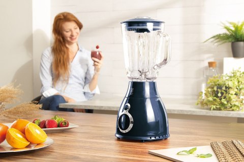 BLENDER KIELICHOWY MIKSER BERLINGER HAUS BH-9283 BLENDER KIELICHOWY MIKSER BERLINGER HAUS BH-9283