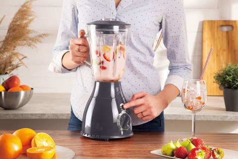 BLENDER KIELICHOWY MIKSER BERLINGER HAUS BH-9284 BLENDER KIELICHOWY MIKSER BERLINGER HAUS BH-9284