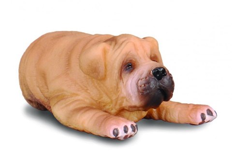 COLLECTA pies Shar Pei S 88194 szczenię COLLECTA pies Shar Pei S 88194 szczenię