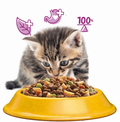 WHISKAS Sucha Kurczak 14kg WHISKAS Sucha Kurczak 14kg