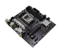 Płyta główna - Płyta główna Biostar A620MP-E PRO