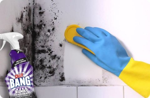 CILLIT BANG Power Cleaner Pleśń i Czarne Osady 750ml Spray CILLIT BANG Power Cleaner Pleśń i Czarne Osady 750ml Spray