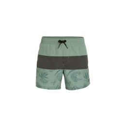 Szorty kąpielowe O'Neill Mix&Match Cali Block 15'' M 92800613820