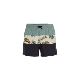 Szorty kąpielowe O'Neill Mix&Match Cali Block 15'' M 92800613824