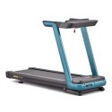 Bieżnia elektryczna Reebok FR20z Floatride RVFR-10121GRZ