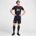 Koszulka Nike Liverpool FC Strike SS Top M FN9838-013