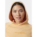 Bluza Helly Hansen z kapturem W Core Hoodie W 54033 316
