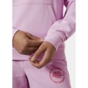 Bluza Helly Hansen Core Graphic Hoodie W 54239 052