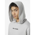 Bluza Helly Hansen Core Graphic Sweat Hoodie M 53924 825