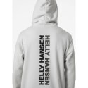 Bluza Helly Hansen Core Graphic Sweat Hoodie M 53924 825