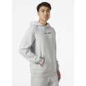 Bluza Helly Hansen Core Graphic Sweat Hoodie M 53924 825