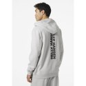 Bluza Helly Hansen Core Graphic Sweat Hoodie M 53924 825