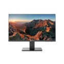 AG NEOVO MONITOR LED LA-2403 BEZ MIGOTANIA HDMI DP VGA