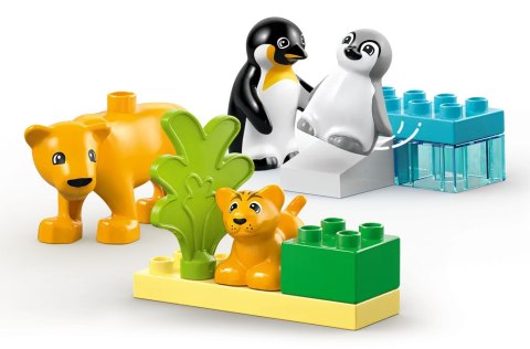 10442 - LEGO DUPLO - Rodziny dzikich zwierząt: pingwiny i lwy 10442 - LEGO DUPLO - Rodziny dzikich zwierząt: pingwiny i lwy