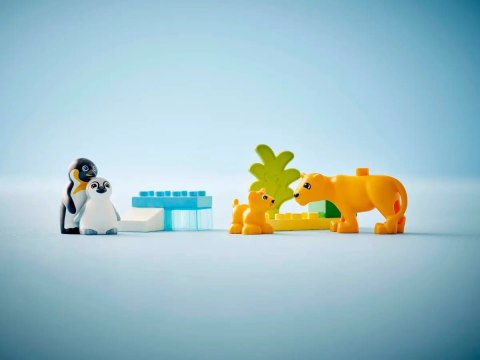 10442 - LEGO DUPLO - Rodziny dzikich zwierząt: pingwiny i lwy 10442 - LEGO DUPLO - Rodziny dzikich zwierząt: pingwiny i lwy