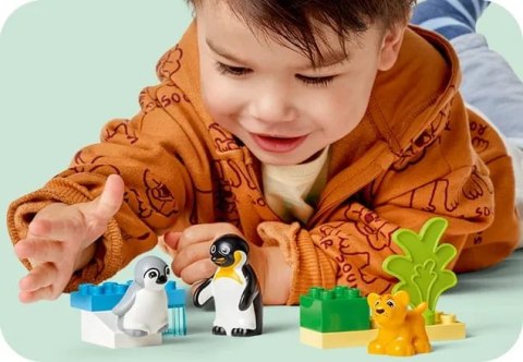 10442 - LEGO DUPLO - Rodziny dzikich zwierząt: pingwiny i lwy 10442 - LEGO DUPLO - Rodziny dzikich zwierząt: pingwiny i lwy