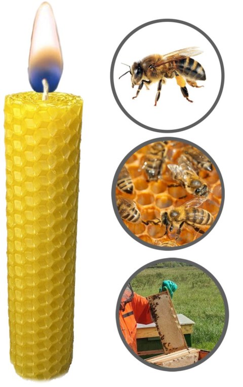 Świeca z Wosku Pszczelego - 5 szt. Świeca z Wosku Pszczelego - 5 szt.