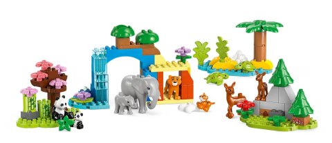 10446 - LEGO DUPLO - Rodziny dzikich zwierząt 3 w 1 10446 - LEGO DUPLO - Rodziny dzikich zwierząt 3 w 1