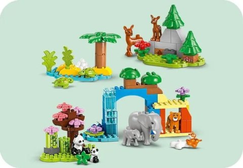 10446 - LEGO DUPLO - Rodziny dzikich zwierząt 3 w 1 10446 - LEGO DUPLO - Rodziny dzikich zwierząt 3 w 1