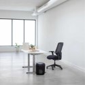 Fellowes Niszczarka osobista LX45 17L