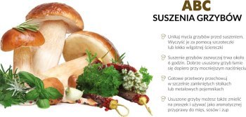 Suszarka do grzybów MPM MSG-01 Suszarka do grzybów MPM MSG-01