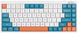 Tracer FINA 84 biała/niebieska Outemu Red Switch