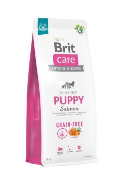 Brit Care Dog Grain-Free Puppy Salmon 12kg Brit