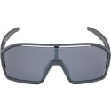 Okulary ALPINA BONFIRE kolor MIDNIGHT-GREY MATT szkło BLACK MIRROR Cat.3 FOGSTOP