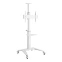 Uchwyt - Manhattan 461238 Mobilny stojak do telewizora LED/LCD/PDP 37-70''