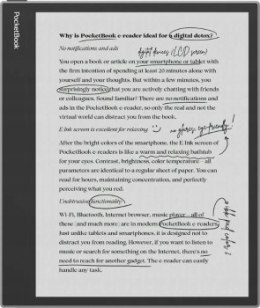 Ebook PocketBook InkPad Eo 10 3 E-Ink Kaleido 3 64GB WI-FI  Mist Gray