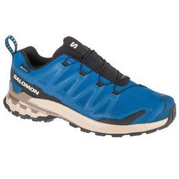 Buty do biegania Salomon XA Pro 3D v9 GTX M L47817200