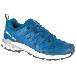 Buty do biegania Salomon XA Pro 3D v9 M L47817800