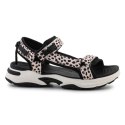 Sandały D.Franklin Sneakers Sandal Strips W DFSH406002-DOTT