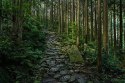 Obiektywy - Sony 24-105 mm f/4 G OSS mocowanie typu E (SEL24105G.SYX)
