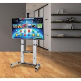 Uchwyt - Techly 102734 Mobilny stojak do telewizora LED/LCD/PDP, 60-100'', 100kg, regulowany, półka AV