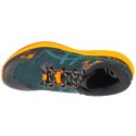 Buty do biegania Asics Fuji Lite 5 M 1011B889-300
