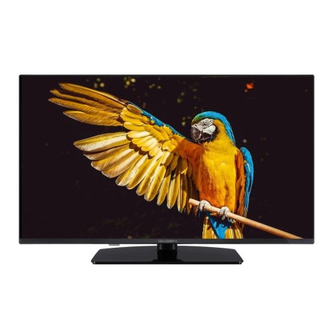 Telewizor GoGEN TVF40M340STWEB 40" Telewizor GoGEN TVF40M340STWEB 40"