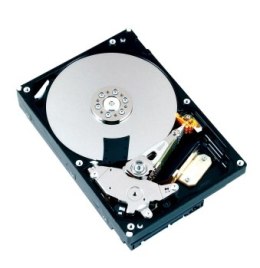 Dysk Toshiba DT01ACA200 (2 TB ; 3.5 ; SATA III; 64 MB; 7200 obr/min)