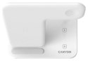 Canyon WS-303 3w1