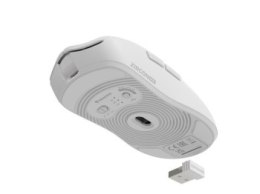 Genesis Zircon 500 biała