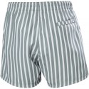 Spodenki kąpielowe Helly Hansen Newport Trunk M 34296 485