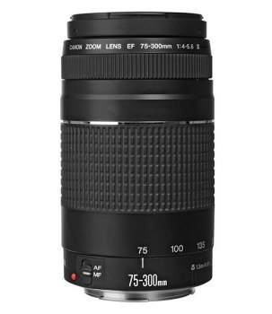 Obiektyw - Canon EF 75-300mm f/4-5.6 III Obiektyw - Canon EF 75-300mm f/4-5.6 III