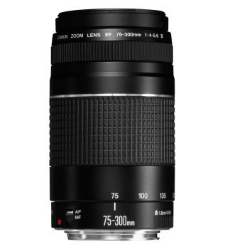 Obiektyw - Canon EF 75-300mm f/4-5.6 III Obiektyw - Canon EF 75-300mm f/4-5.6 III