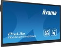 Monitor interaktywny iiyama TE6512MIS-B3AG 65" 4K UHD IPS Touch Android 11