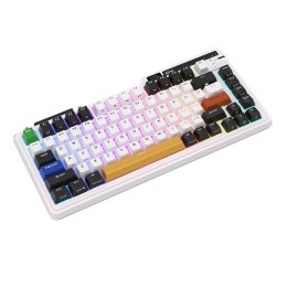 Bezprzewodowa klawiatura mechaniczna Royal Kludge KZZI K75 pro RGB, Eternity Switch (czarno-biała) Royal Kludge
