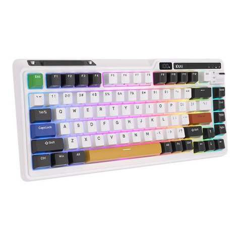 Bezprzewodowa klawiatura mechaniczna Royal Kludge KZZI K75 pro RGB, Eternity Switch (czarno-biała) Royal Kludge Bezprzewodowa klawiatura mechaniczna Royal Kludge KZZI K75 pro RGB, Eternity Switch (czarno-biała) Royal Kludge