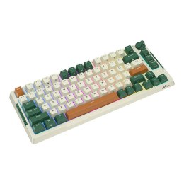 Bezprzewodowa klawiatura mechaniczna Royal Kludge RKH81 RGB, Sky cyan switch (zielona) Royal Kludge