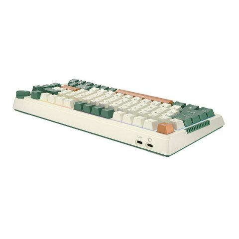 Bezprzewodowa klawiatura mechaniczna Royal Kludge RKH81 RGB, Sky cyan switch (zielona) Royal Kludge Bezprzewodowa klawiatura mechaniczna Royal Kludge RKH81 RGB, Sky cyan switch (zielona) Royal Kludge